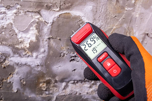 Attic Mold Removal in Goodland, IN