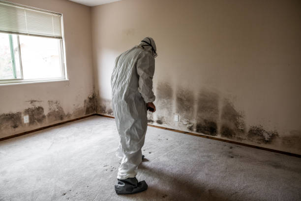 Best Crawl Space Mold Removal  in Goodland, IN